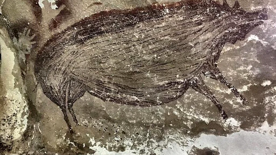 Cum au transportat oamenii porcii peste Pacific?