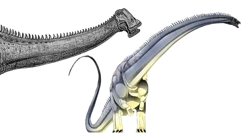 Nigerosaurus! Mare si lent!