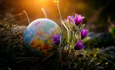 O descoperire contrazice ce au crezut cercetătorii despre primele forme de viață de pe Pământ