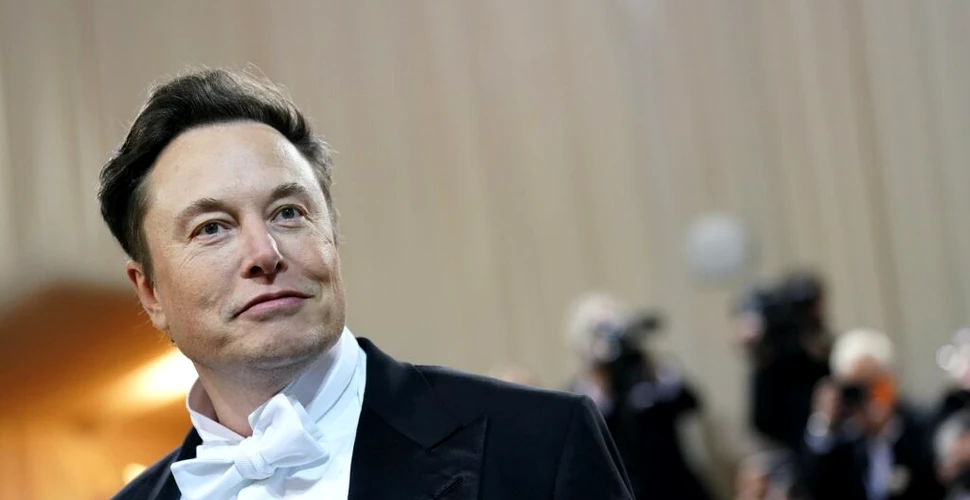 Iubita din facultate a lui Elon Musk a scos la licitație amintiri cu miliardarul
