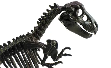 O noua teorie vine sa explice disparitia dinozaurilor