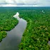Ar putea pădurea amazoniană să supraviețuiască unei secete lungi?