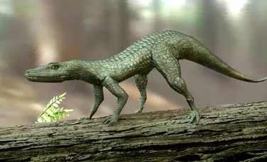 O nouă specie de reptilă crocodiliană din Triasic, dezgropată în Brazilia