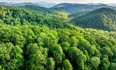 Vacanța perfectă de toamnă: iată cele mai bune trasee de mers pe munte!