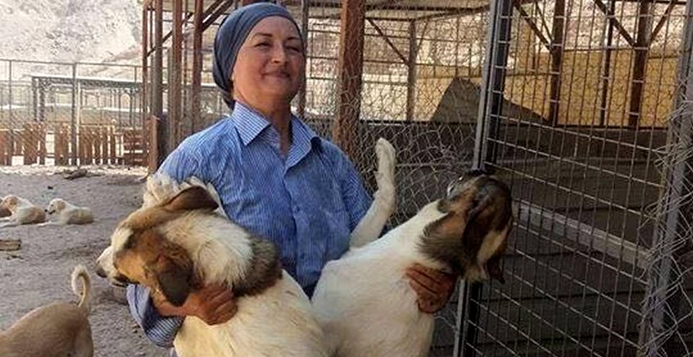 O româncă gestionează primul adăpost pentru câini abandonaţi din Iordania: „Nu e uşor”