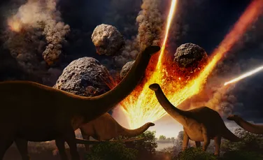 Strămoșii oamenilor au supraviețuit asteroidului care a ucis dinozaurii