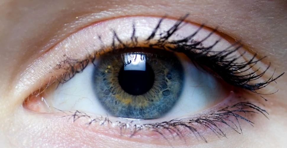 Implantul cu retină artificială ar putea restabili vederea persoanelor nevăzătoare. Testele clinice vor avea loc la sfârşitul anului