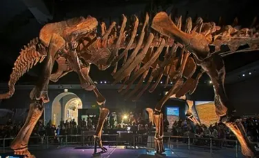 Bătrânul dinozaur Zarafasaura Oceanis nu va mai fi vândut la licitaţie