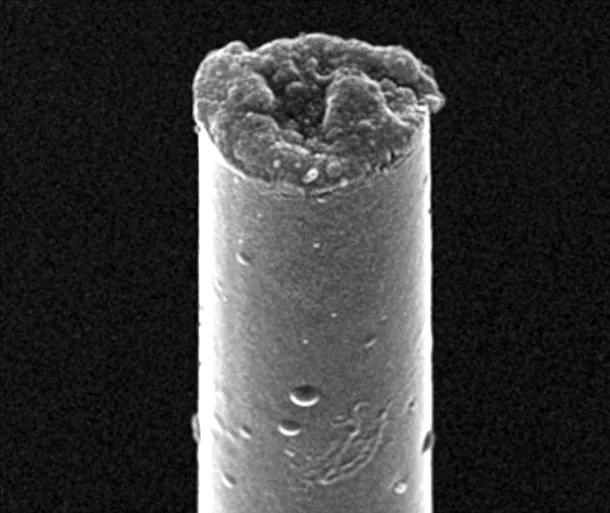Electrodul realizat de cercetătorii de la Universitatea din Michigan are numai 7 microni în diametru şi este prevăzut la capăt cu o „perniţă” de gel care se aplică pe neuron.