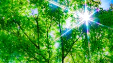 Meteorologii au anunțat cum vor fi temperaturile în luna mai