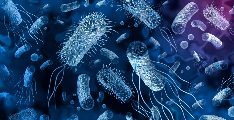 Oamenii de știință au descoperit noi bacterii marine care produc hidrogen în cantități mari