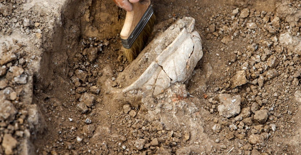 Oasele umane, folosite ca bijuterii preistorice. Ce au descoperit arheologii în 177 de morminte?
