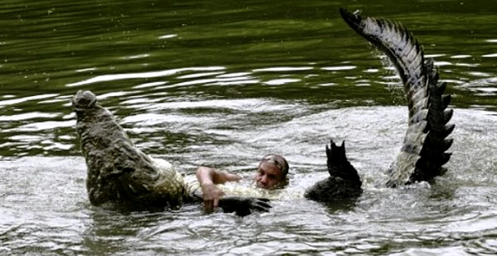 Prietenie incredibila intre om si crocodil (FOTO/VIDEO)