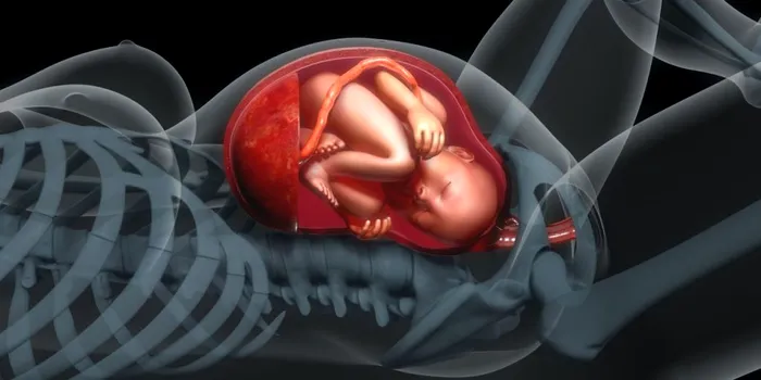 Descoperire șocantă în placentele unor femei care au născut: „Este ca și cum ai avea un copil cyborg”