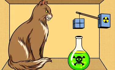 Dacă se adaugă o a doua pisică la experimentul ”Pisica lui Schrödinger”, legile mecanicii cuantice pot fi date peste cap