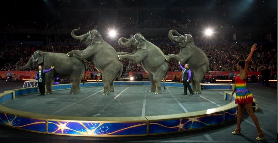 Un circ celebru din Statele Unite se închide după 146 de existenţă. Ce a dus la această decizie