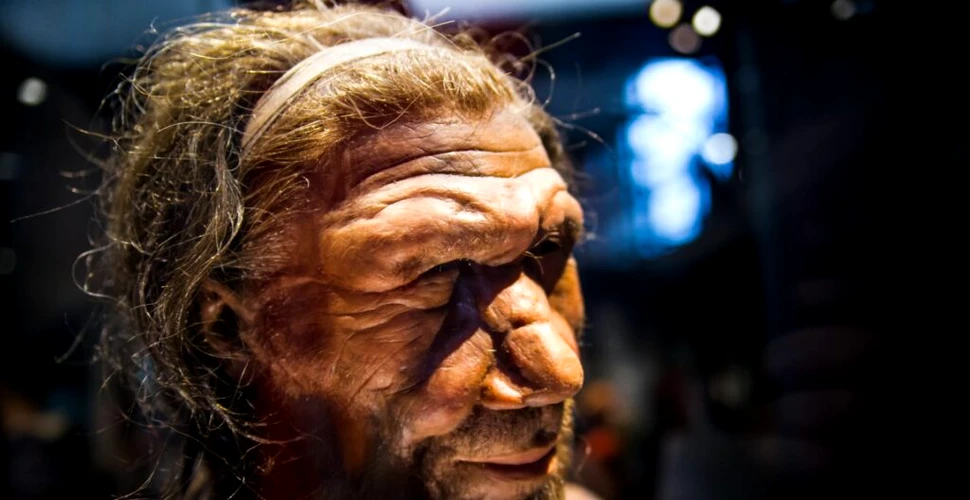 O invenție neașteptată, atribuită neanderthalienilor. Ce au descoperit cercetătorii?