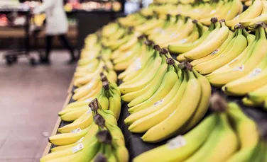 O altă specie importantă de banane, pe cale de dispariţie