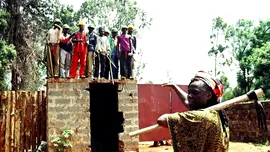 Wangari Maathai: povestea femeii care a plantat milioane de copaci