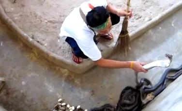 Curaj nebunesc: cum se face curăţenie în groapa plină de cobre (VIDEO)