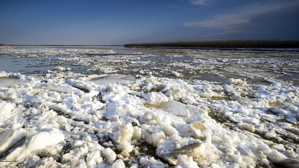 Virusuri şi bacterii periculoase despre care omenirea credea că sunt eradicate revin la viaţă