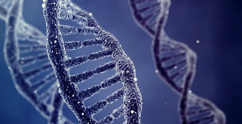 5 mituri din genetică de care ar trebui să uităm