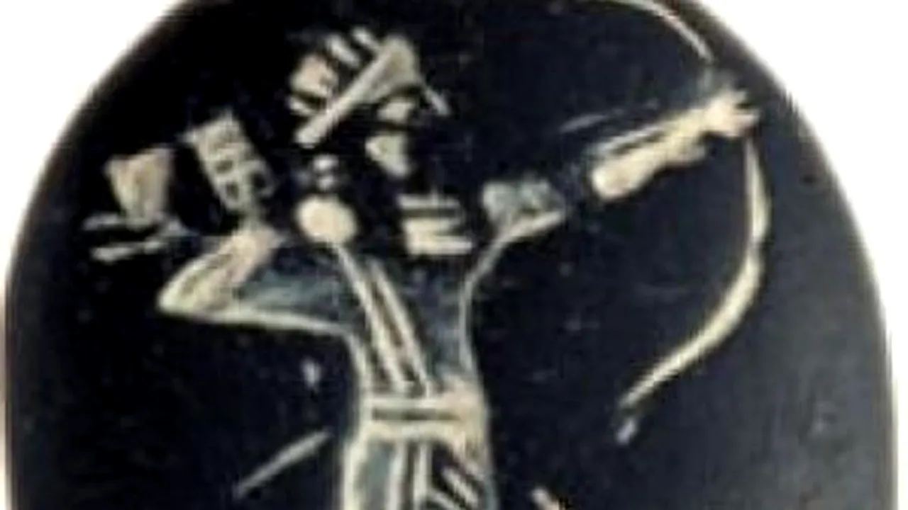 1-arcas 
