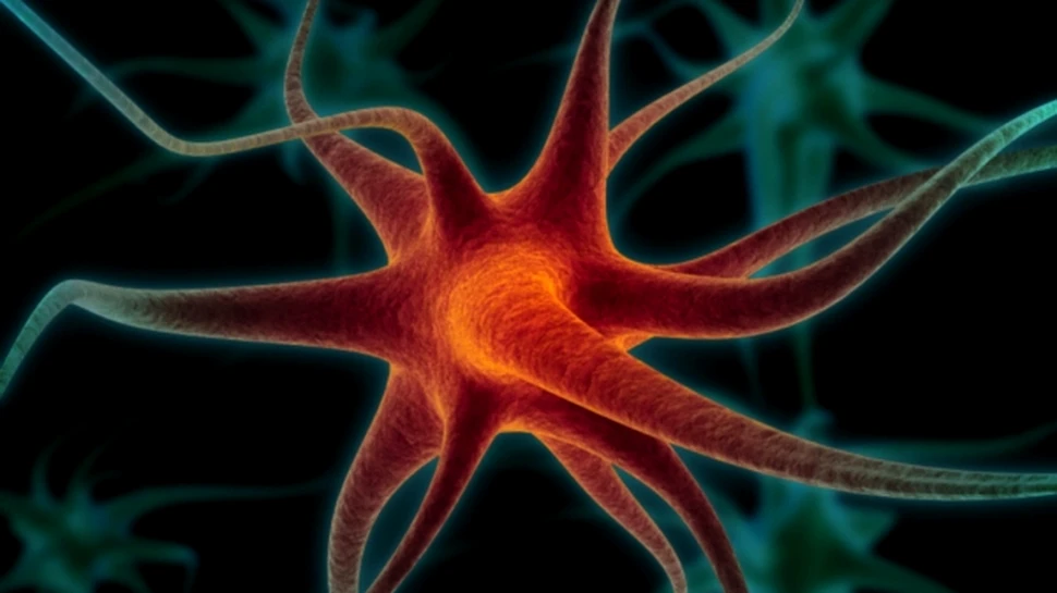 Au fost descoperite “intrerupatoarele” somnului