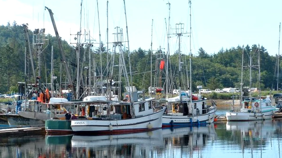 Tratat pentru blocarea pescuitului maritim ilegal