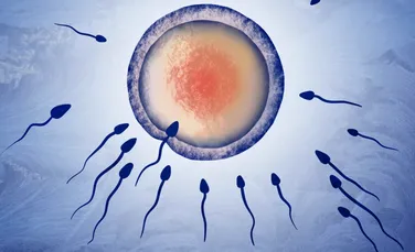 Alergia la spermă: motivul extrem de rar pentru care o femeie nu poate rămâne însărcinată