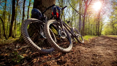 Biciclete furate din Germania, găsite de polițiști la domicilii din România