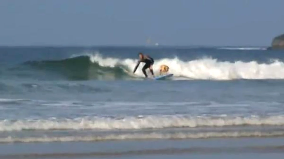 Un câine şi stăpânul său au o pasiune comună: fac surf! (VIDEO)