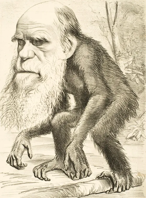 Caricatură din presa vremii (1871) care îl prezintă pe Darwin sub forma unei maimuuţe primate.