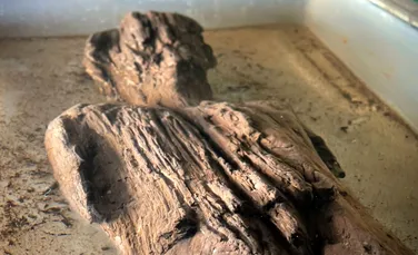 O figurină romană rară a fost găsită în timpul lucrărilor de construcție la o cale ferată