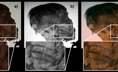 Tatuaje uimitoare au fost găsite pe o mumie andină veche de 800 de ani