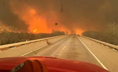 Cel mai mare incendiu de vegetație din istoria statului american Texas