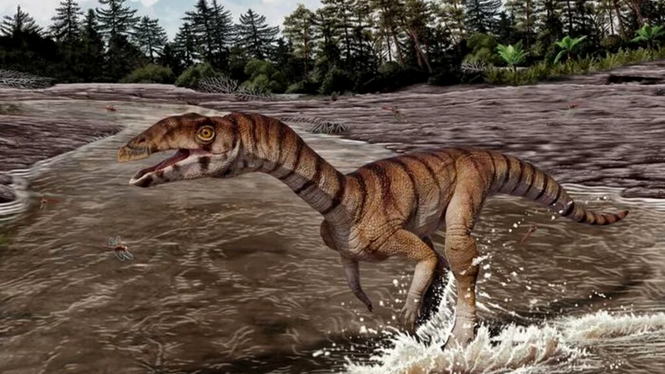 O specie bipedă și fără dinți este o rudă din Triasic a crocodilului