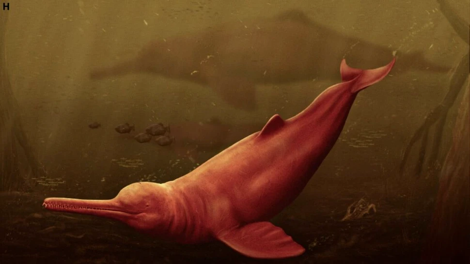 Un delfin uriaș trăia în apele Amazonului cu 16 milioane de ani în urmă