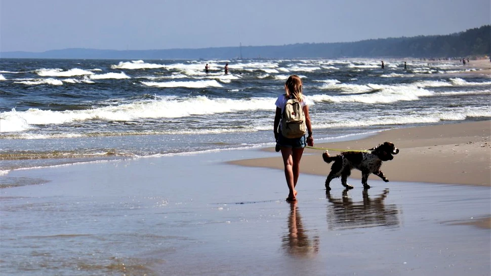 Câte zile libere mai au românii în 2021