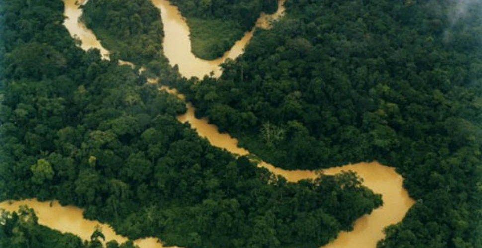 21 de miliarde de dolari in schimbul pastrarii Amazoniei