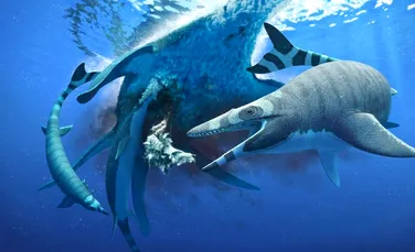 Un „mini-monstru marin” descoperit recent avea dinții la fel de ascuțiți ca o lamă de fierăstrău