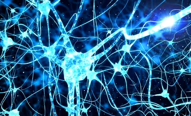 Un nou spray nazal pentru Alzheimer elimină toxinele din neuroni