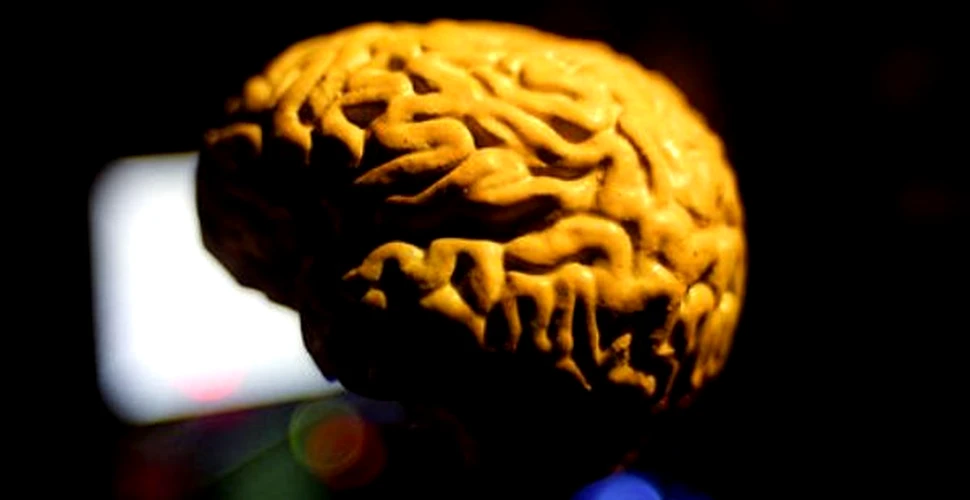Creierul – secretul campionilor