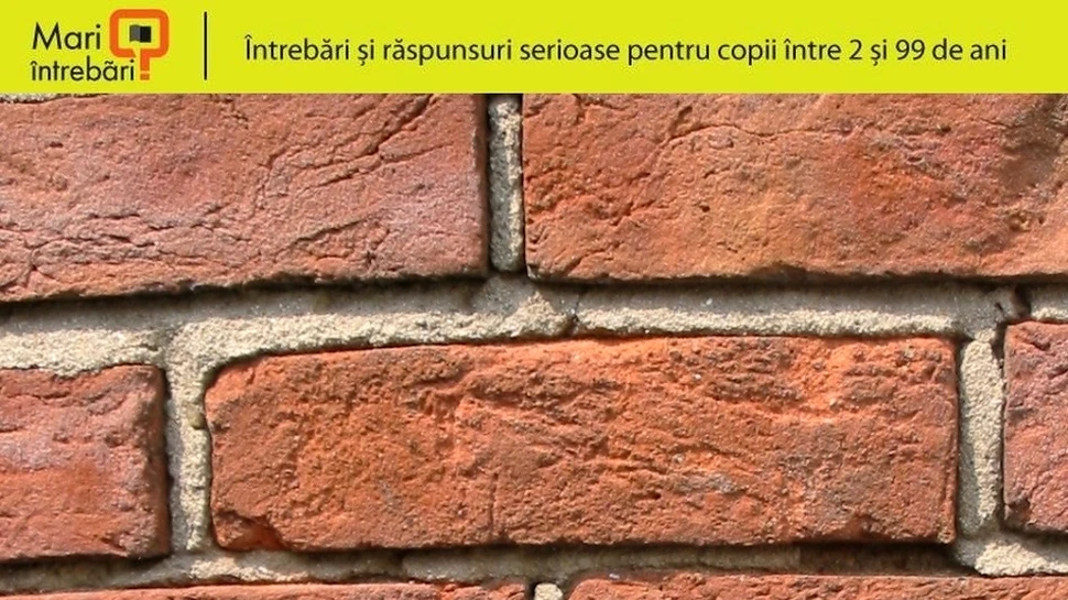 Cum sunt făcute cărămizile?