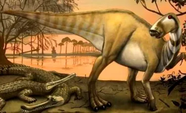 A fost dezgropat un craniu de crocodil vechi de o suta de milioane de ani