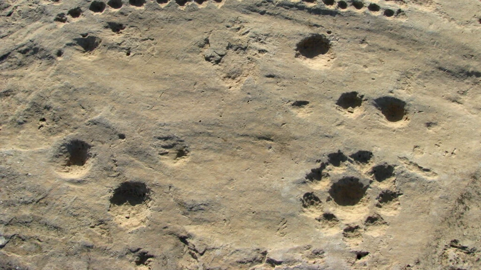 Simboluri misterioase în deșertul din Qatar pot fi văzute doar de la mare înalțime