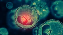 Cât de mult ne afectează fertilitatea mâncarea pe care o consumăm?