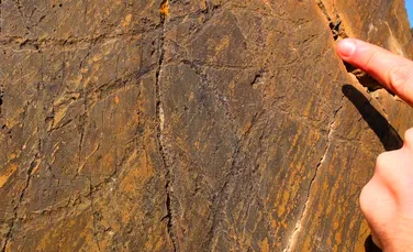 Pedeapsa pe care o riscă doi ciclişti care au scrijelit inscripţii peste gravuri rupestre vechi de peste 22.000 de ani