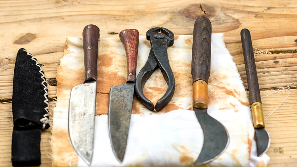 Practici dentare bizare din istorie: de la „viermii dinților” la pasta din șoareci