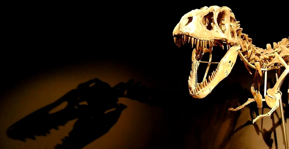 Scheletul unui dinozaur de 150 de milioane a fost vândut. Care a fost preţul